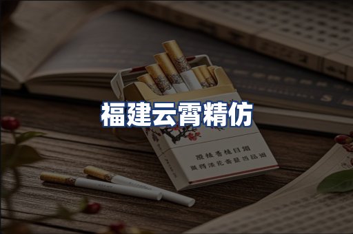 福建云霄精仿